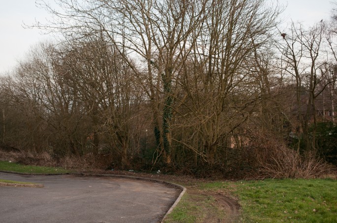 6350 - © Andrew Newson