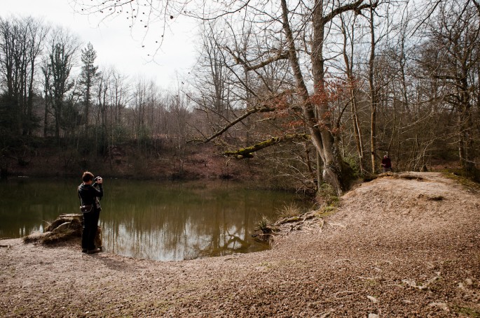 Forest Landscapes Photography Course © Andrew Newson (7047)