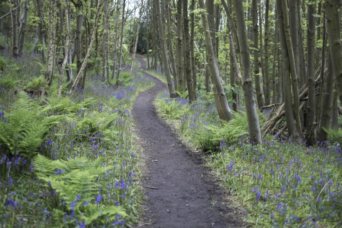 Riverhill Himalayan Gardens Phototrek
