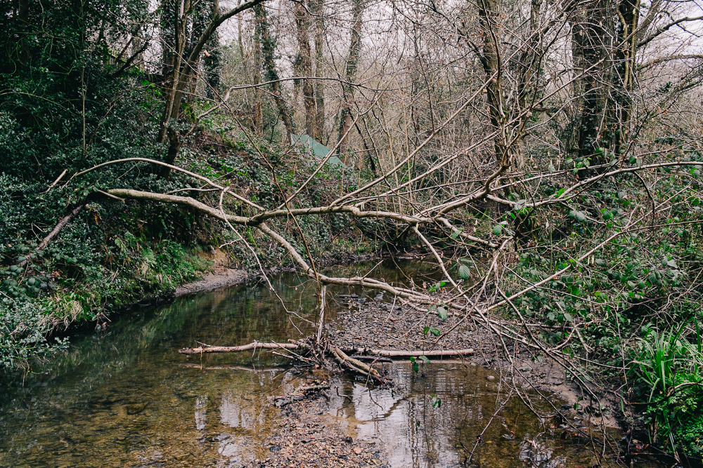 10 March 2013 (5089)