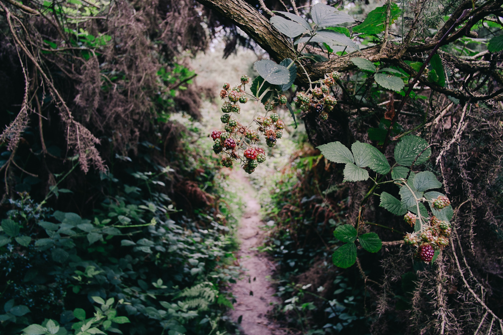 20 August 2012 (6248)