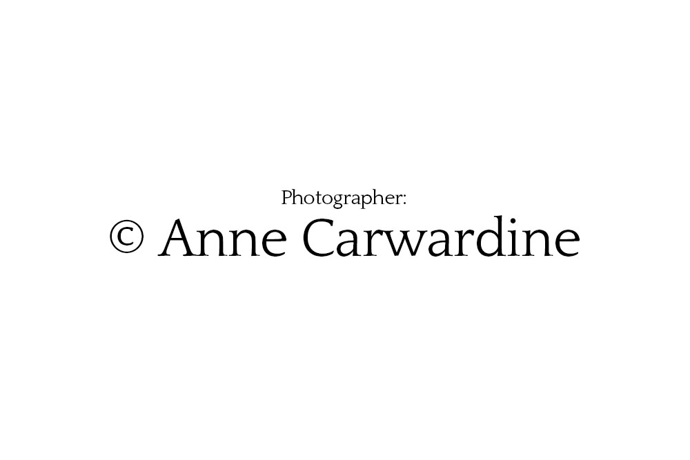 © Anne Carwardine